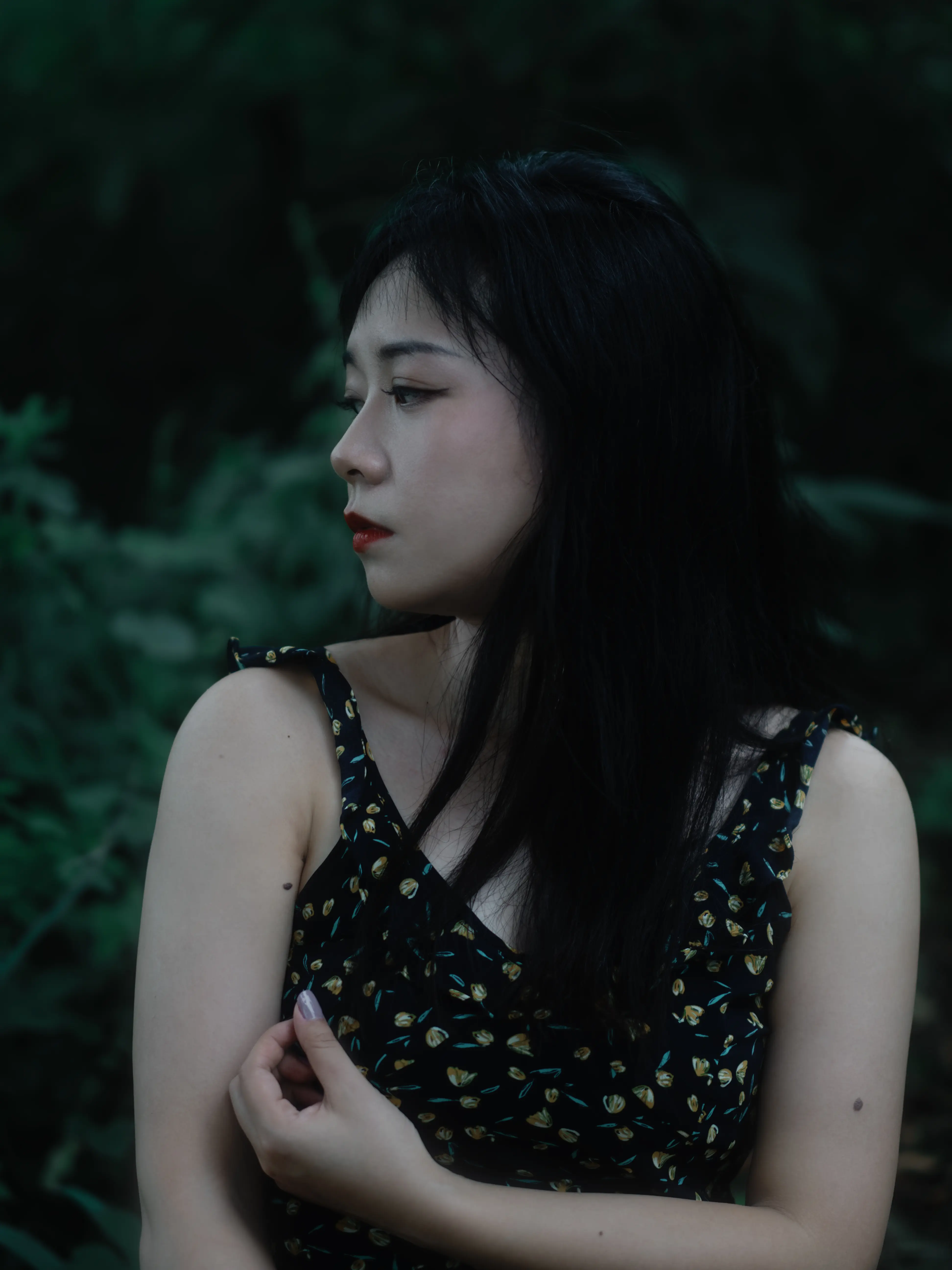 暗调熊之森
