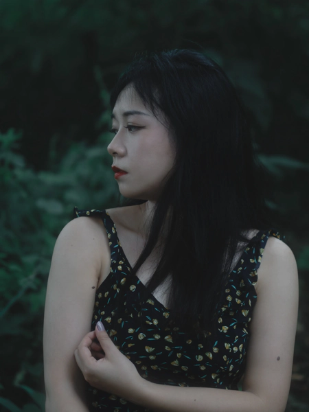 暗调熊之森