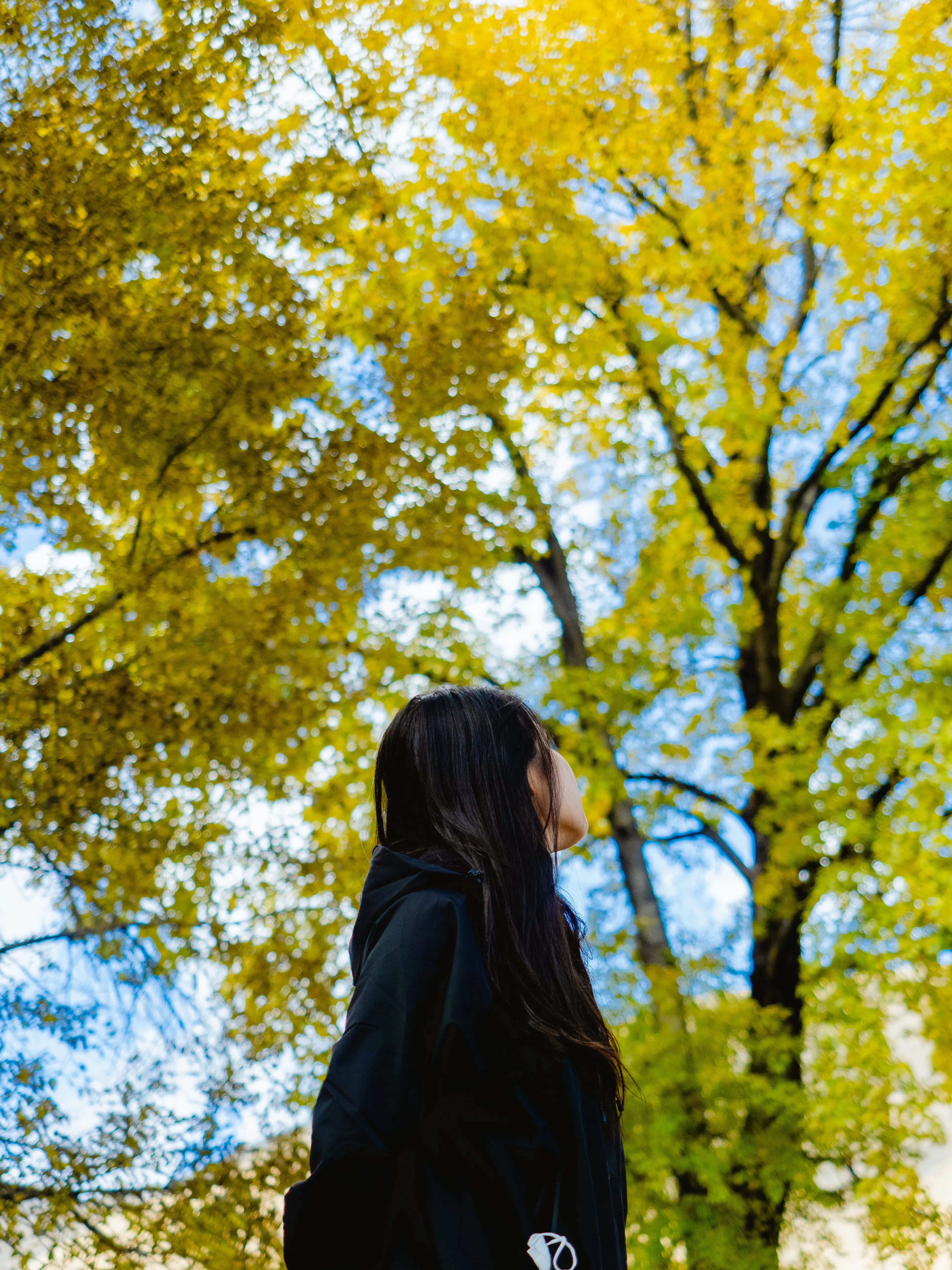 PB021244.webp